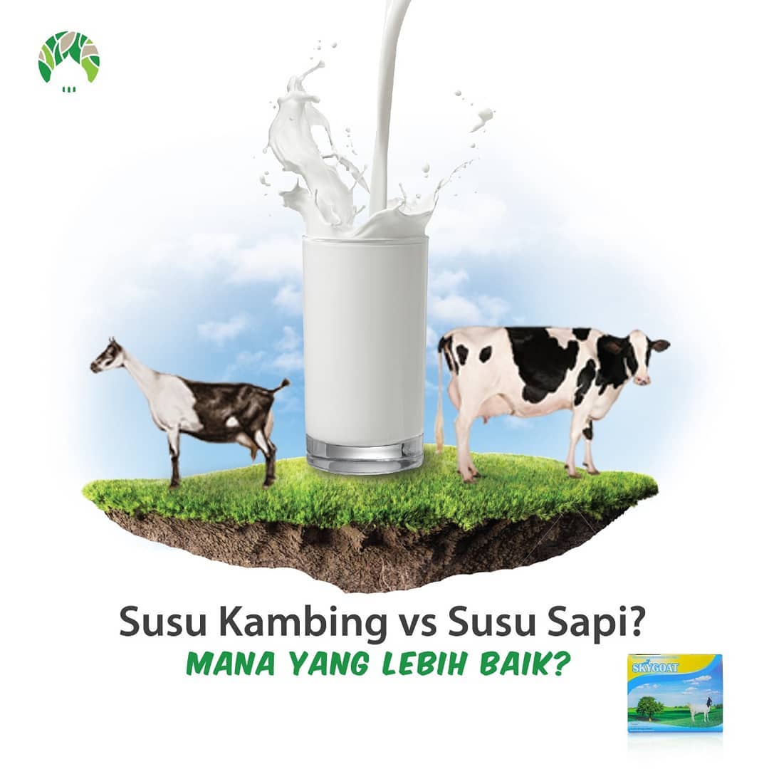 HerbalIndonesia (135)